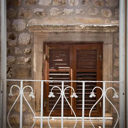 Flores דוברובניק